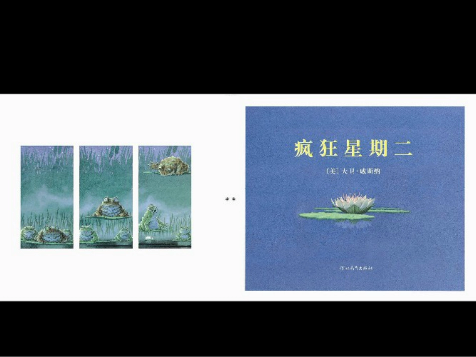 小班绘本推荐-疯狂星期二 .ppt_第2页
