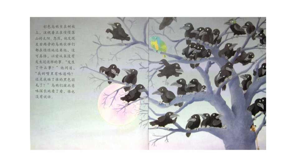 一只与众不同的乌鸦.pptx_第2页