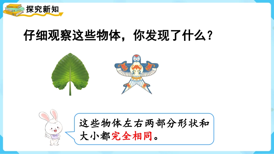 第1课时  轴对称图形.pptx_第3页