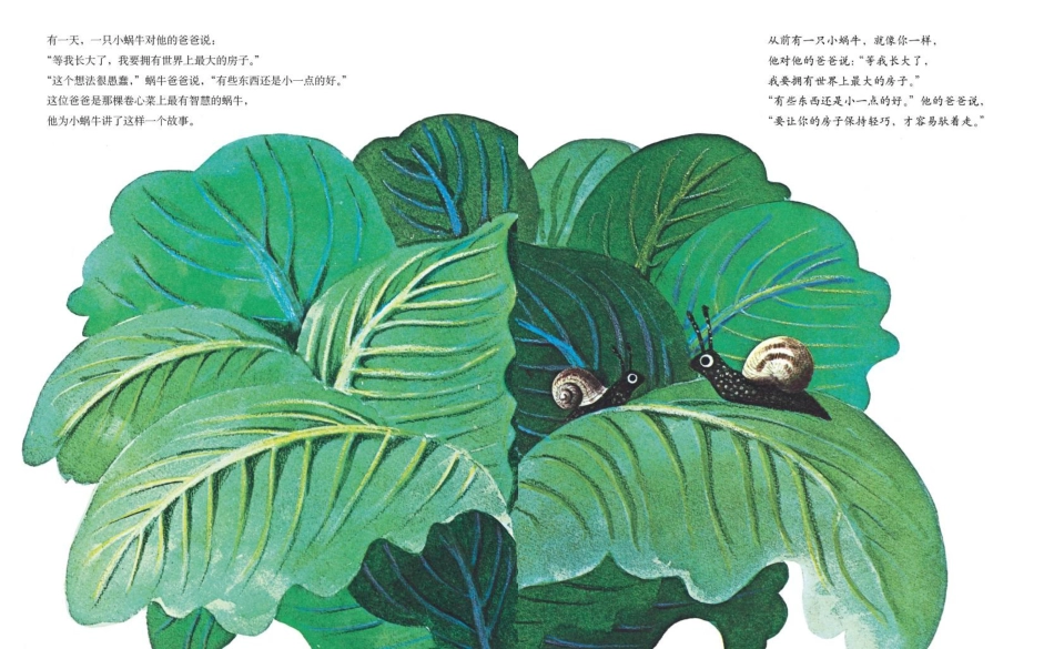 世界上最大的房子.ppt_第3页