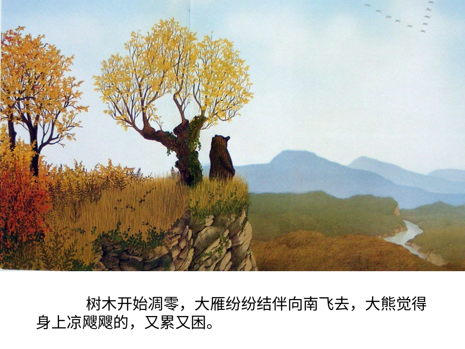 中班绘本推荐-森林大熊x.ppt_第2页