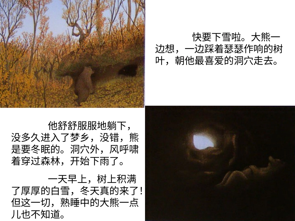 中班绘本推荐-森林大熊x.ppt_第3页