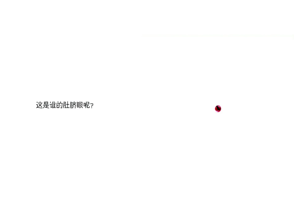 中班绘本推荐-是谁的肚脐眼.ppt_第3页