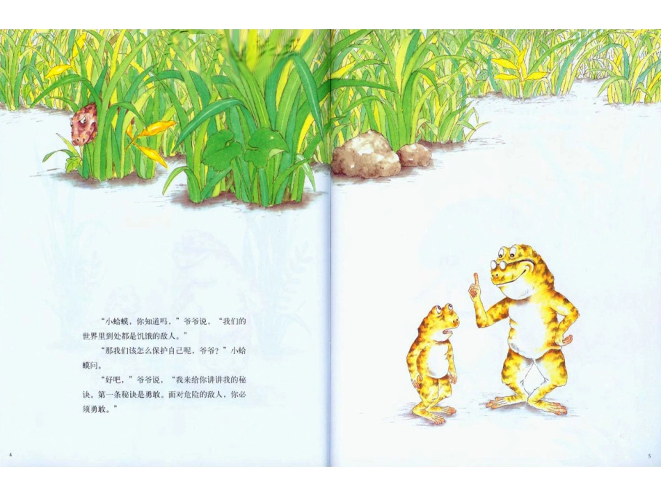 中班绘本推荐-蛤蟆爷爷的秘诀.ppt_第3页