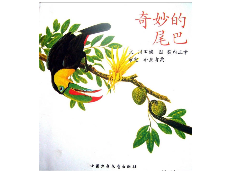 中班绘本推荐-奇妙的尾巴.ppt_第1页