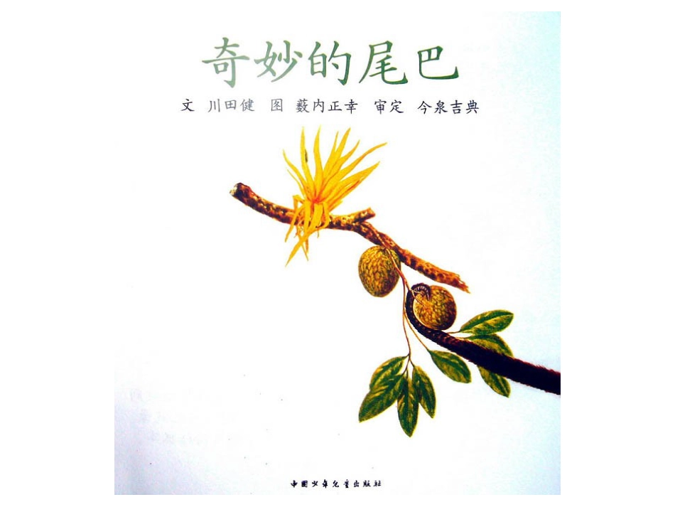 中班绘本推荐-奇妙的尾巴.ppt_第2页