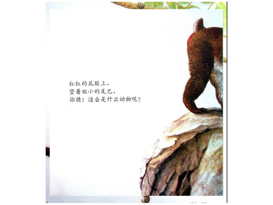 中班绘本推荐-奇妙的尾巴.ppt_第3页
