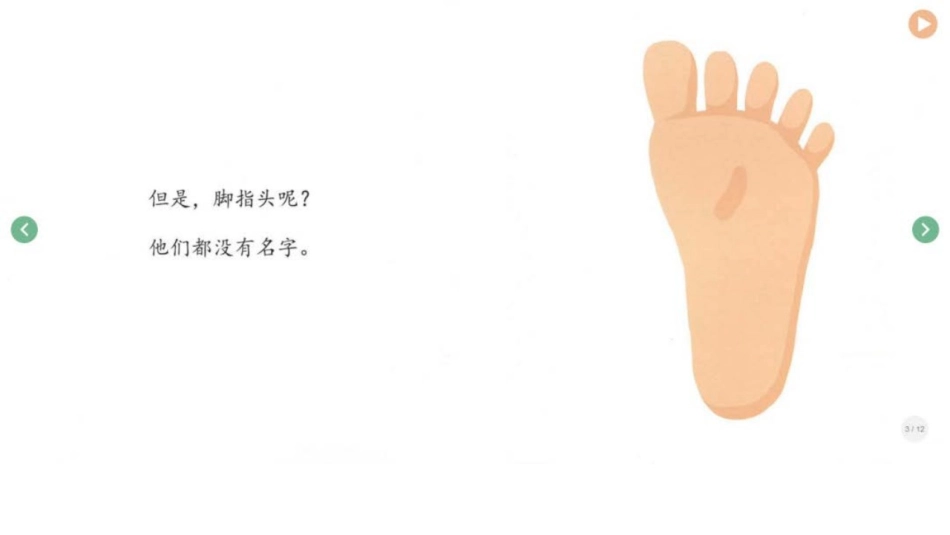给脚趾头起名字.pptx_第3页