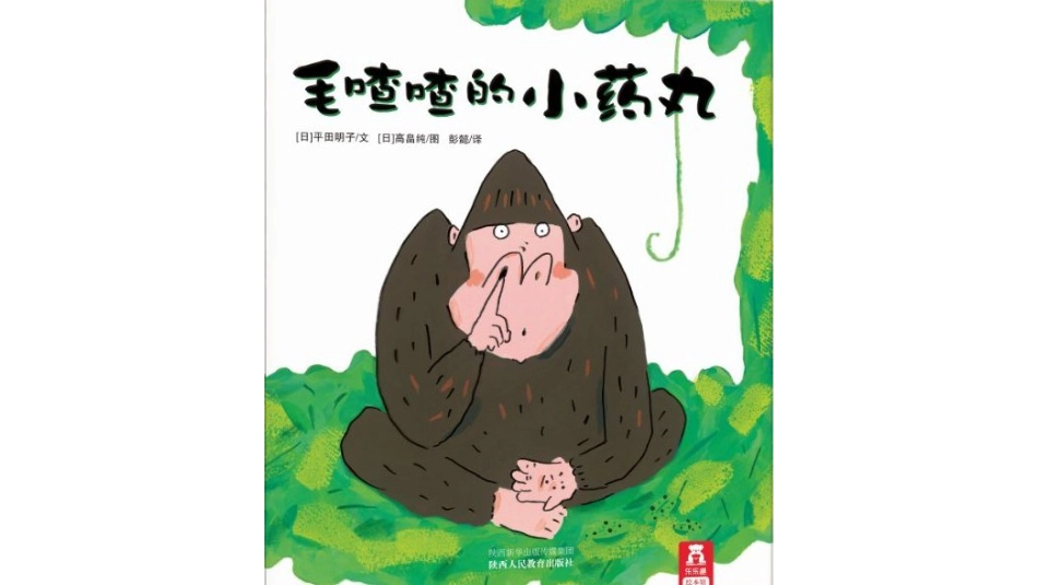 毛渣渣的小药丸 .pptx_第1页