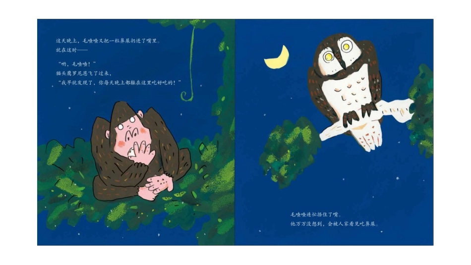 毛渣渣的小药丸 .pptx_第3页