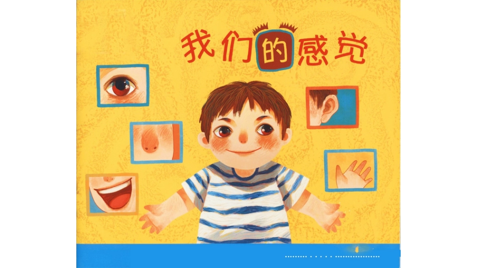 我们的感觉 -.pptx_第1页