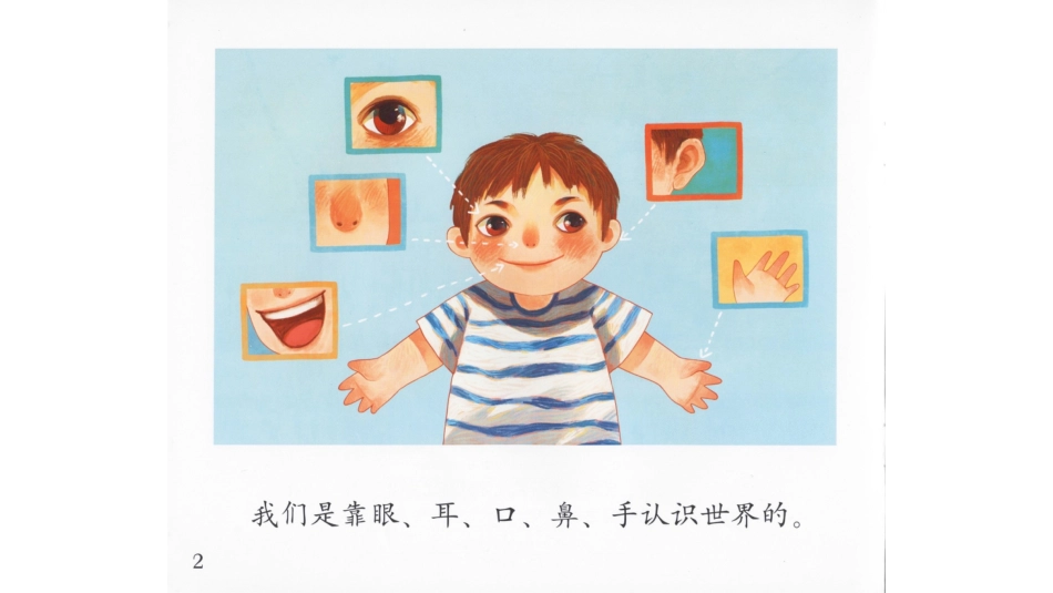 我们的感觉 -.pptx_第3页