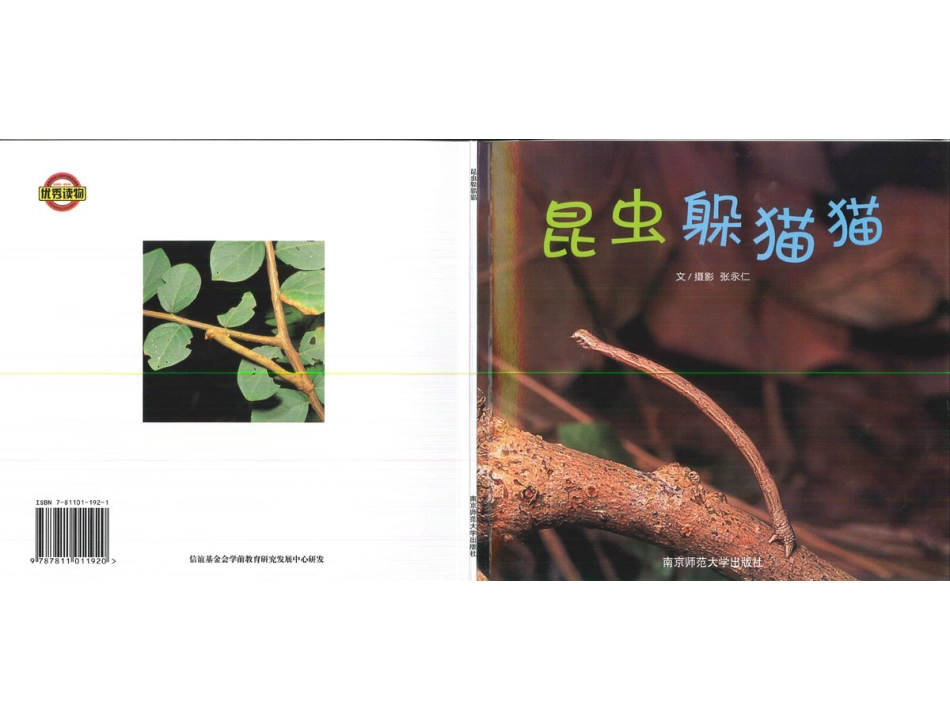 幸福的种子30-昆虫躲猫猫.ppt_第1页