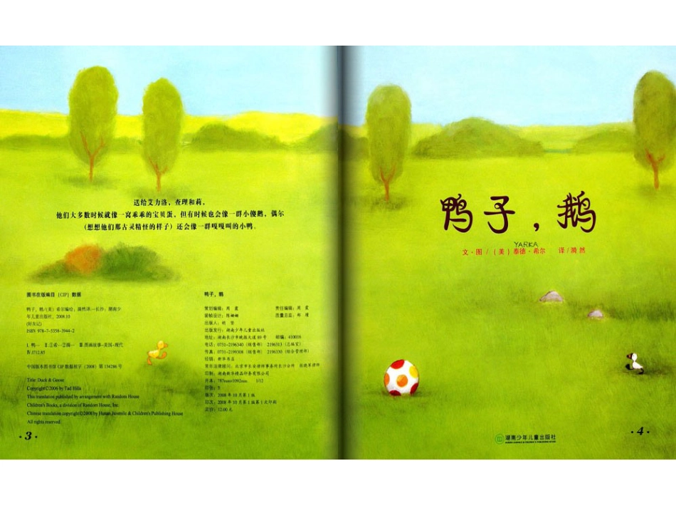 鸭子，鹅 .ppt_第3页