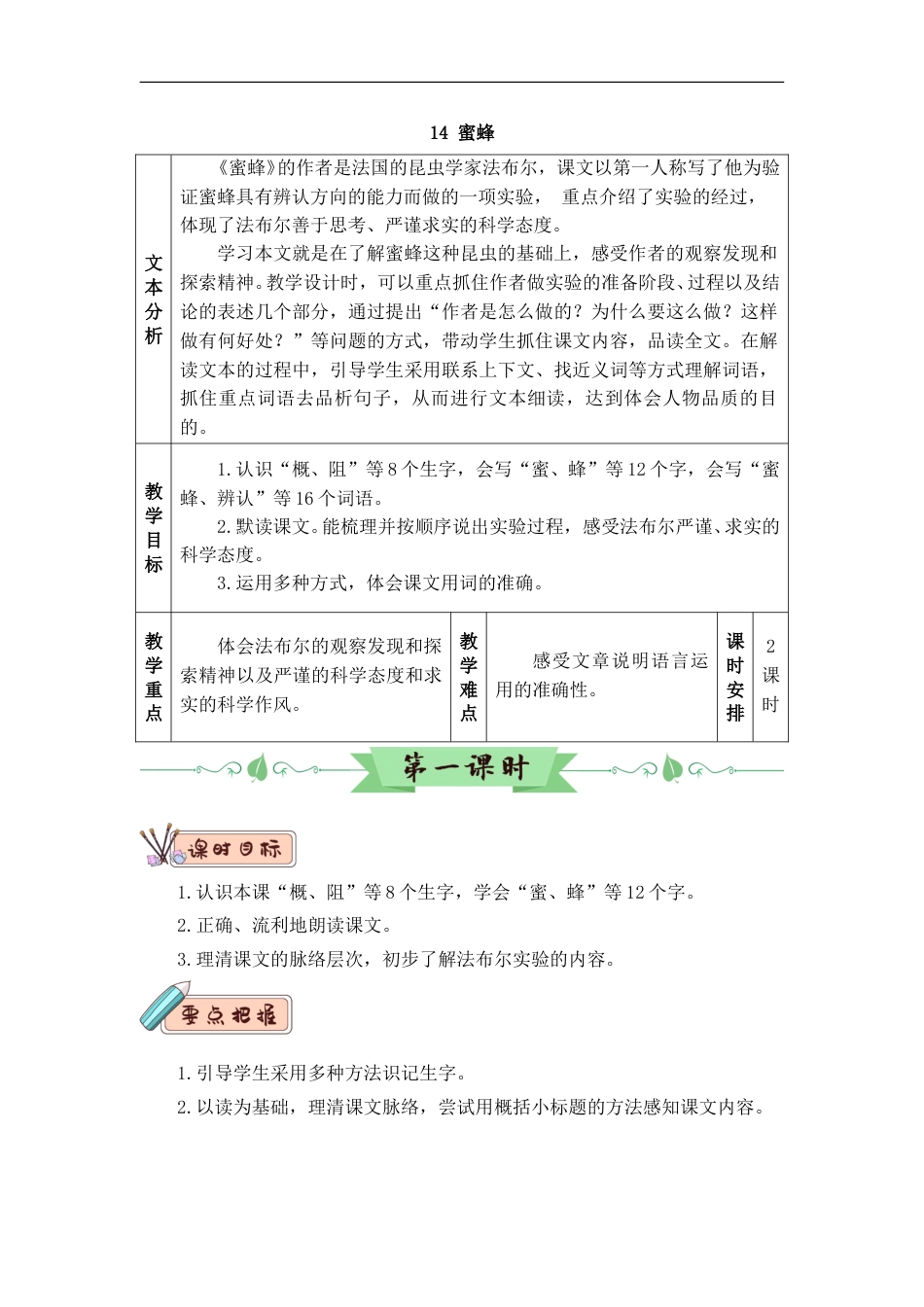 14 蜜蜂（教案）.doc_第1页