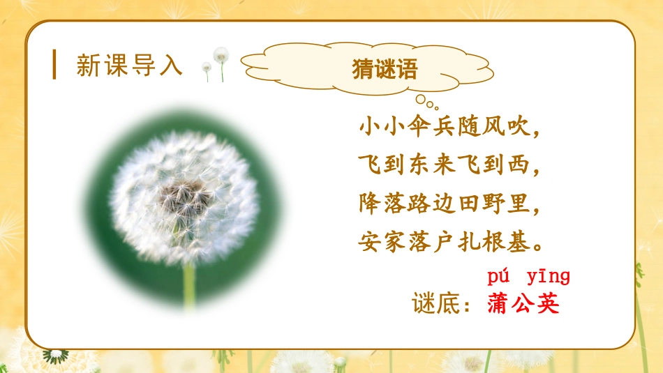 三年级上册语文部编版-（教学课件）16.金色的草地.pptx_第1页
