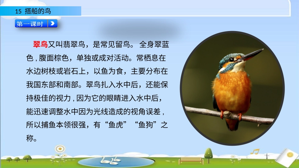 部编版三年级语文上册-15 搭船的鸟（名师配套课件）.pptx_第2页