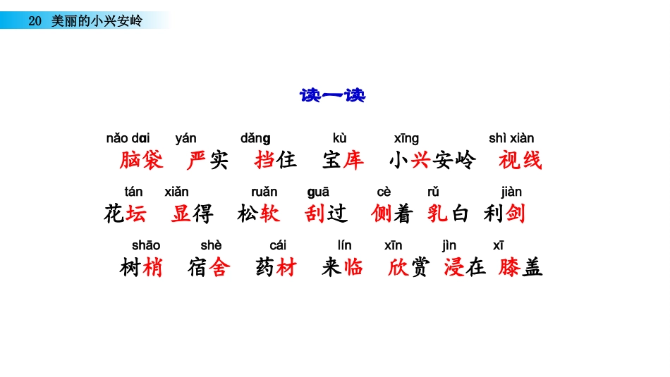 部编版三年级语文上册-20 美丽的小兴安岭（名师配套课件）.pptx_第3页