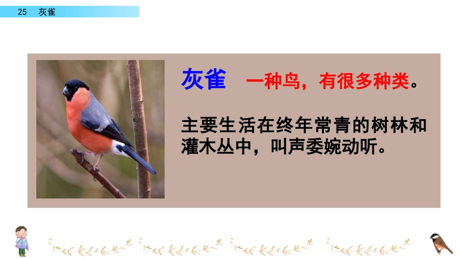 部编版三年级语文上册-25 灰雀（名师配套课件）.pptx_第2页