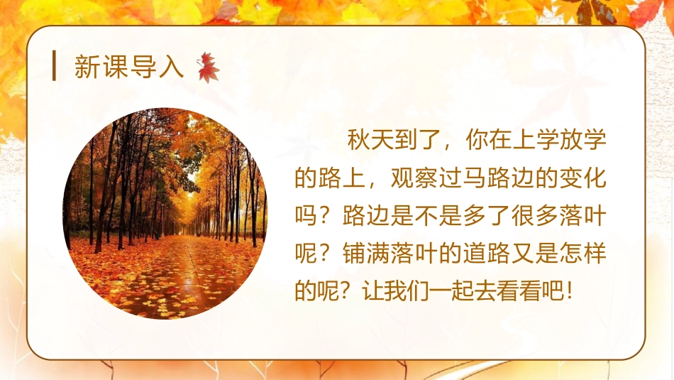 三年级语文部编版上册-【精】（教学课件）5.铺满金色巴掌的水泥道.pptx_第1页