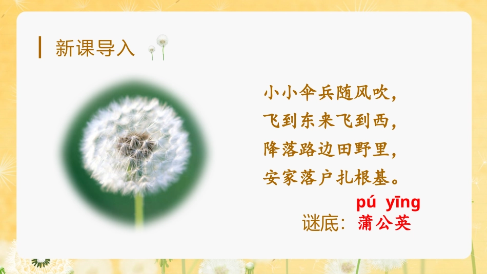 三年级语文部编版上册-【精】（教学课件）16.金色的草地.pptx_第1页