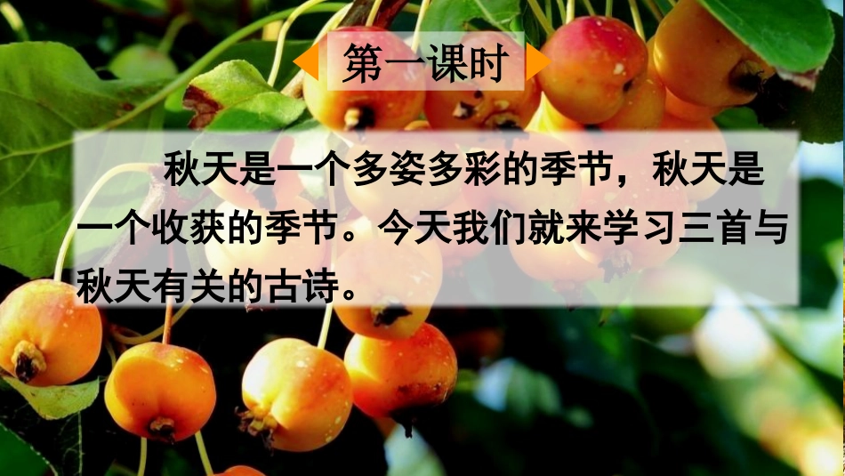 【部编版】三年级上册语文-4 古诗三首.pptx_第2页