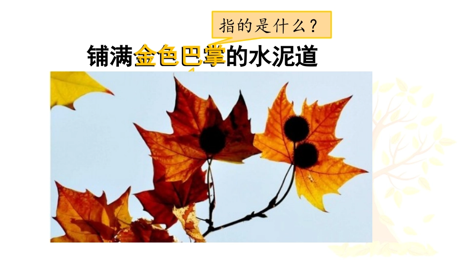 【部编版】三年级上册语文-5 铺满金色巴掌的水泥道.pptx_第3页