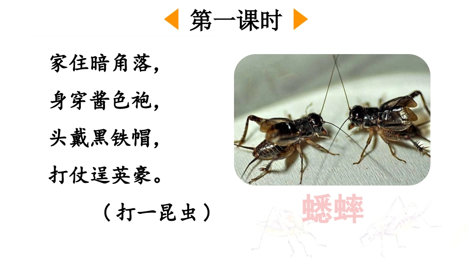 【部编版】三年级上册语文-10 在牛肚子里旅行.pptx_第2页