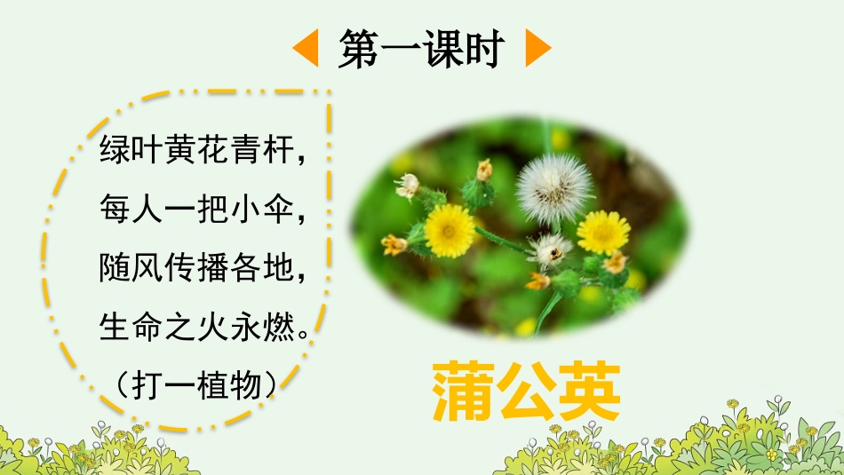 【部编版】三年级上册语文-16 金色的草地.pptx_第2页