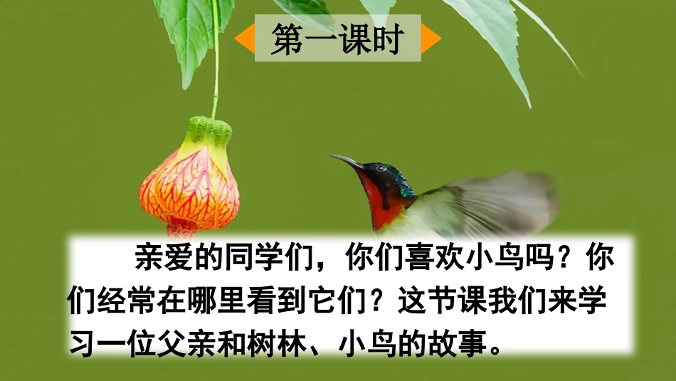 【部编版】三年级上册语文-23 父亲、树林和鸟.pptx_第2页