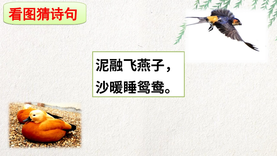 【部编版】三年级下册语文-2 燕子.ppt_第2页