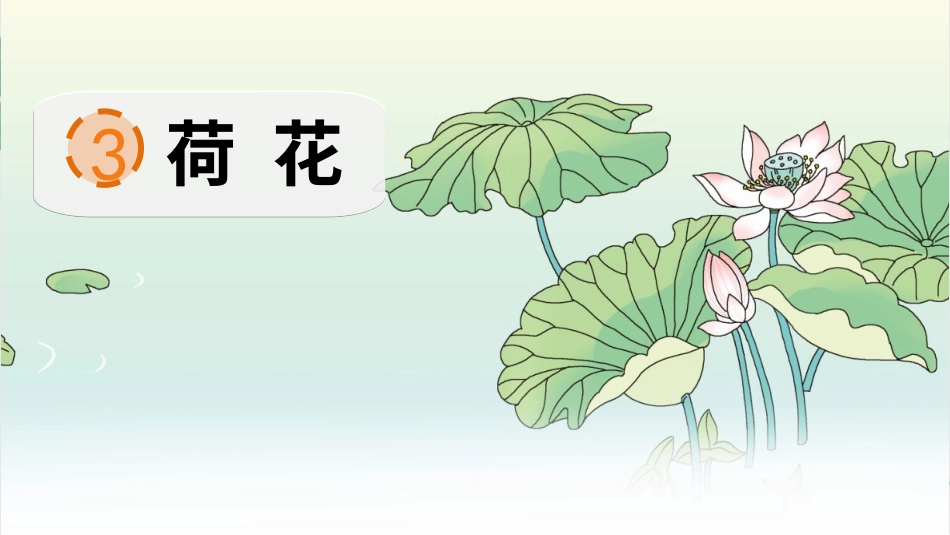 【部编版】三年级下册语文-3 荷花.ppt_第2页