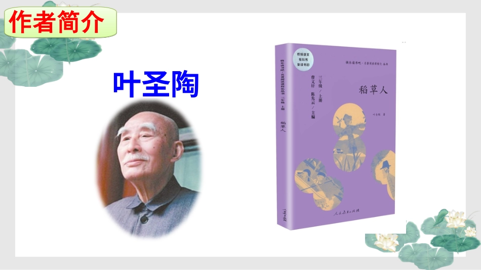 【部编版】三年级下册语文-3 荷花.ppt_第3页