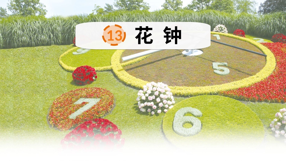 【部编版】三年级下册语文-13 花钟.ppt_第3页