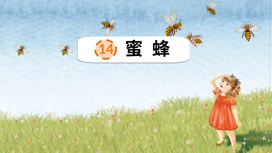【部编版】三年级下册语文-14 蜜蜂.ppt_第1页