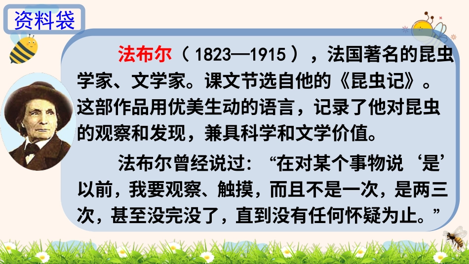 【部编版】三年级下册语文-14 蜜蜂.ppt_第2页