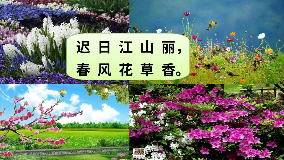 【部编版】三年级下册语文-口语交际 春游去哪儿玩.ppt_第2页