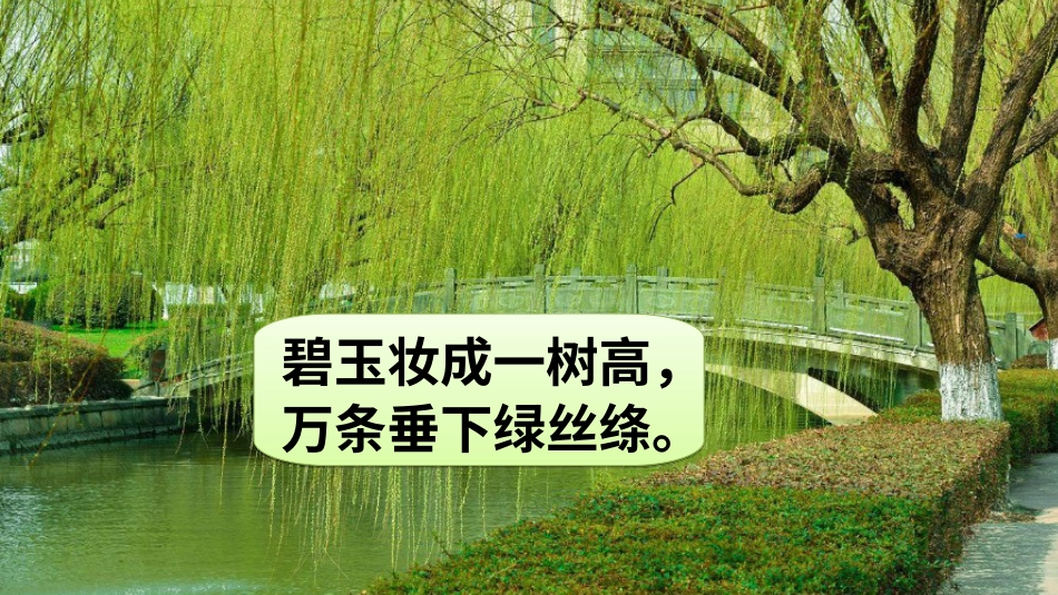 【部编版】三年级下册语文-口语交际 春游去哪儿玩.ppt_第3页