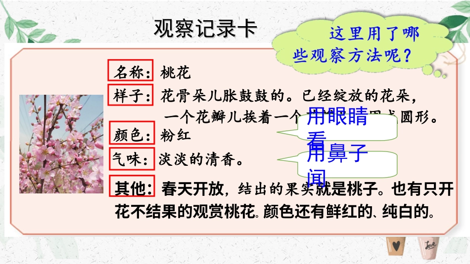 【部编版】三年级下册语文-习作：我的植物朋友.ppt_第2页