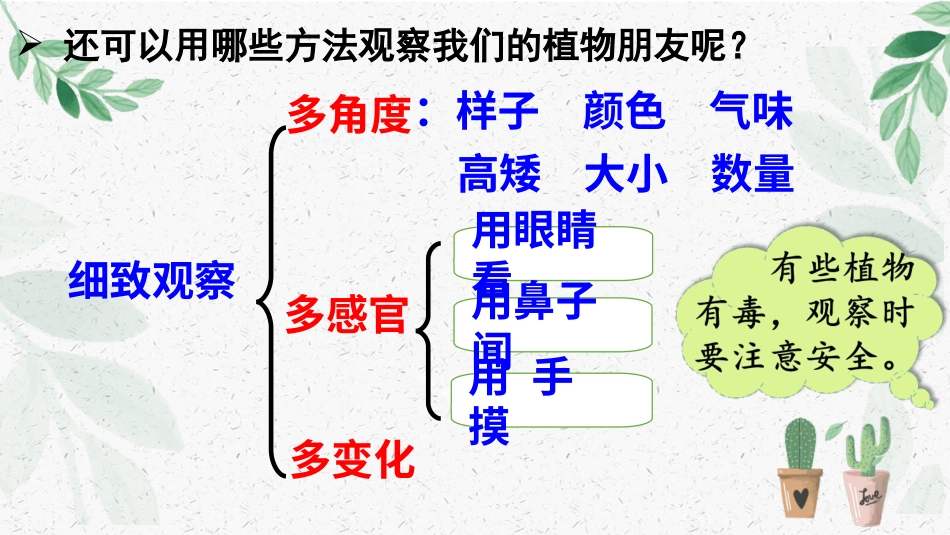 【部编版】三年级下册语文-习作：我的植物朋友.ppt_第3页