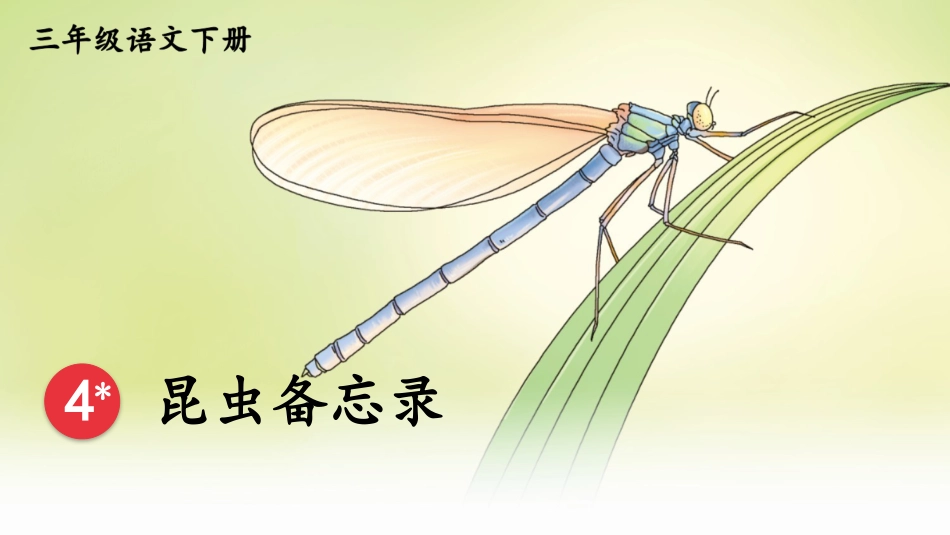 【部编版】三年级下册语文-4 昆虫备忘录.pptx_第2页
