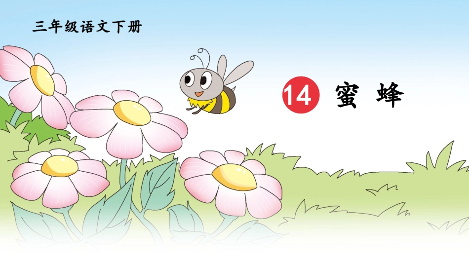 【部编版】三年级下册语文-14 蜜蜂.pptx_第3页