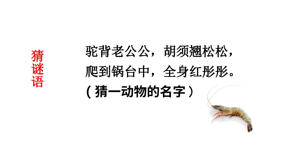 【部编版】三年级下册语文-15 小虾.ppt_第1页