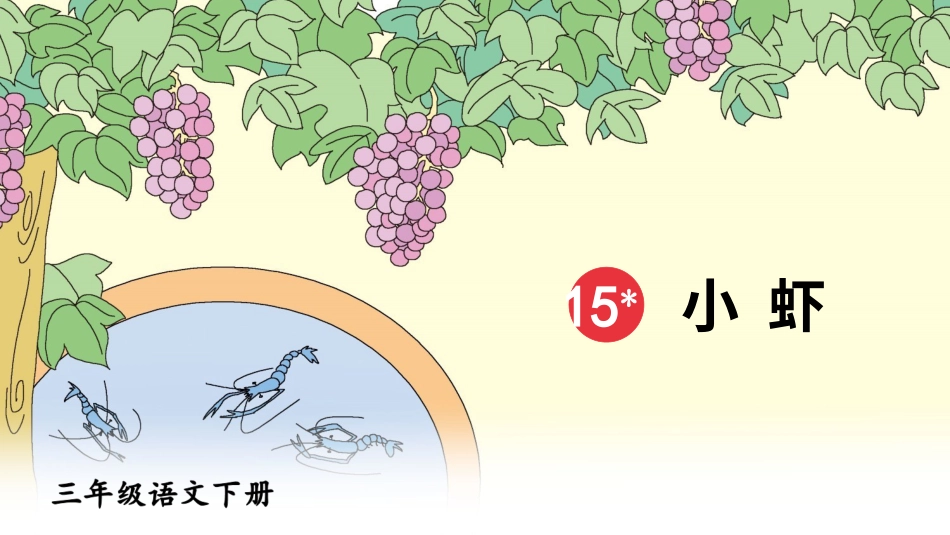 【部编版】三年级下册语文-15 小虾.ppt_第2页