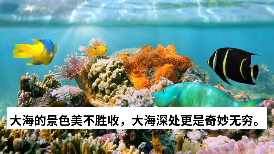 【部编版】三年级下册语文-23 海底世界.ppt_第3页