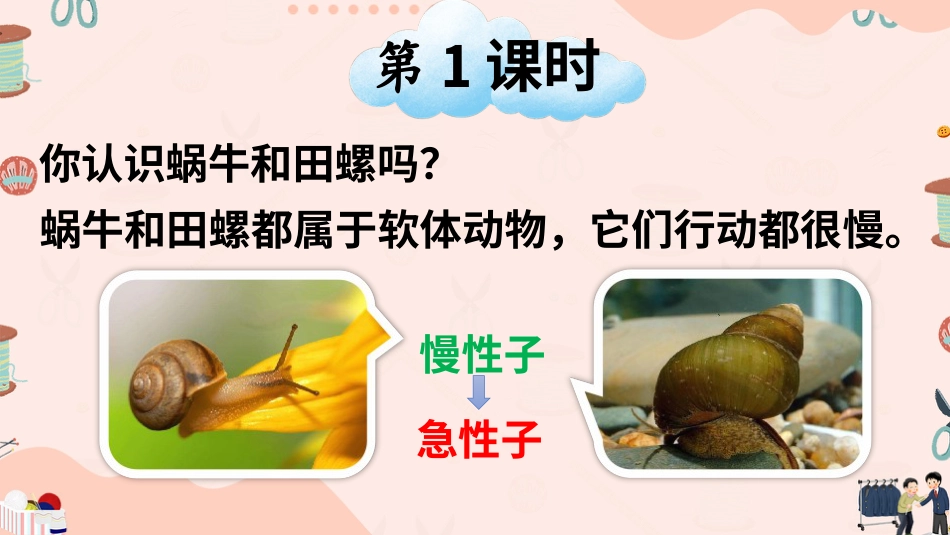 【部编版】三年级下册语文-25 慢性子裁缝和急性子顾客.ppt_第2页