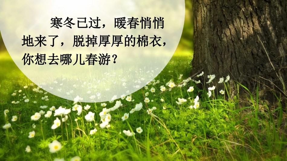 【部编版】三年级下册语文-口语交际：春游去哪儿玩.pptx_第1页