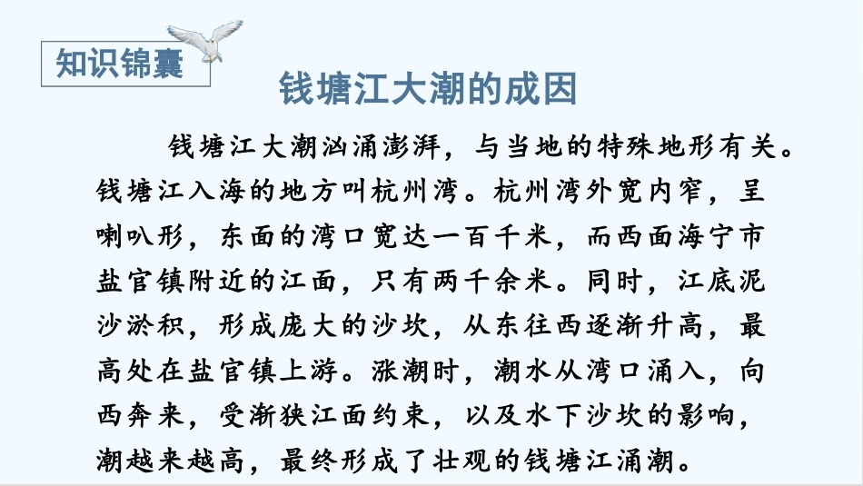 四年级语文上册部编版（教学课件）1.观潮.pptx_第3页