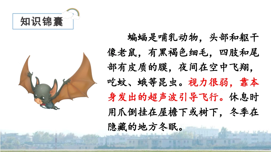 四年级语文上册部编版（教学课件）6.夜间飞行的秘密.pptx_第3页