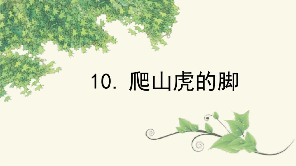 四年级语文上册部编版（教学课件）10.爬山虎的脚.pptx_第2页